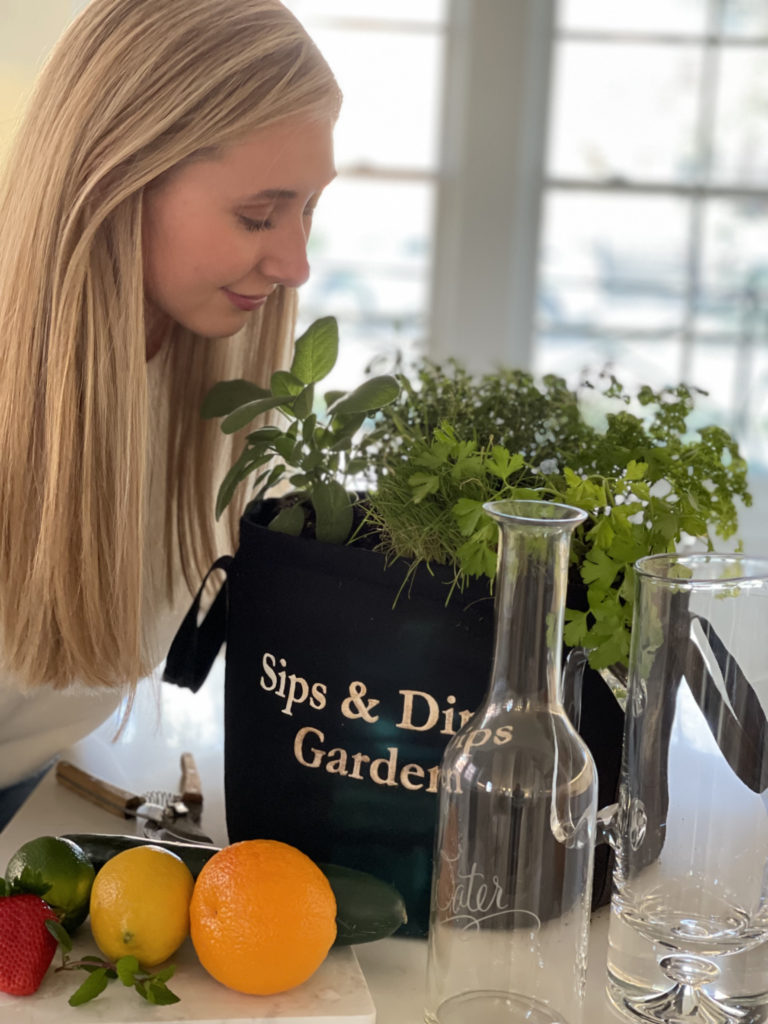 Sips and Dips Snack & Hydration Recipes THE SAGE