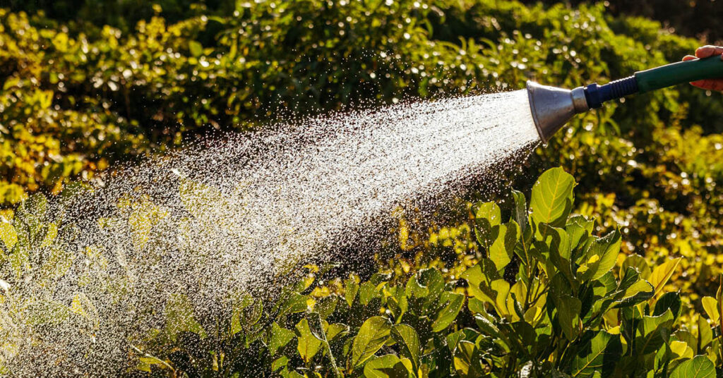 Gardening In Extreme Heat | Keeping Container Gardens Safe In The ...