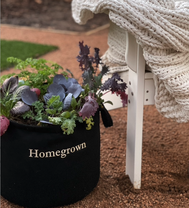 Your Guide to Winter Gardening Growing Leafy Greens During Winter