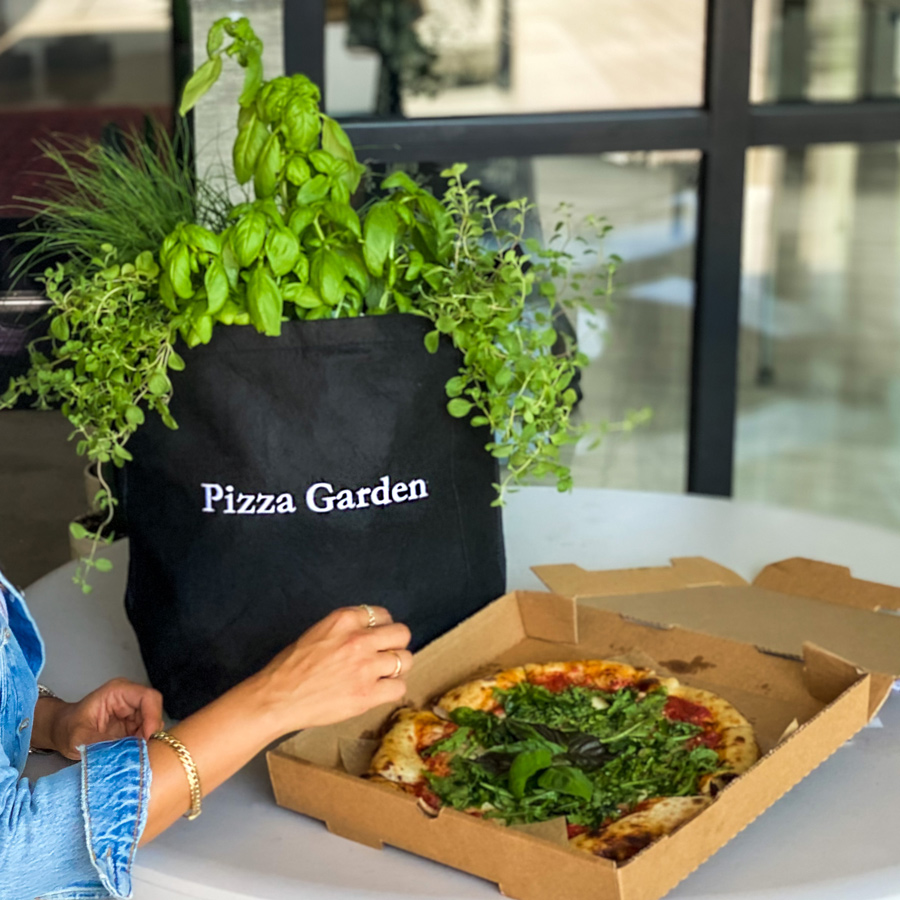 Tips for a Successful Pizza Garden This Season - THE SAGE