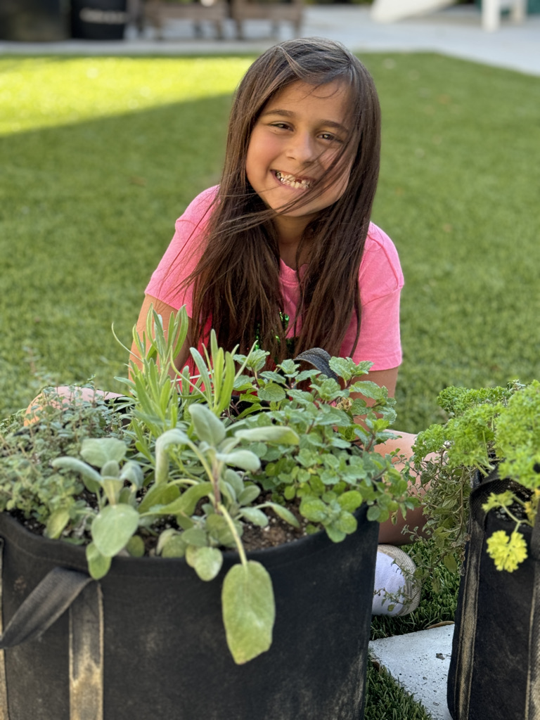 Refresh Your Fall Garden: How to Transition from Summer to Cool-Weather ...
